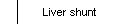 Liver shunt