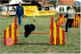 Vedette jumping
