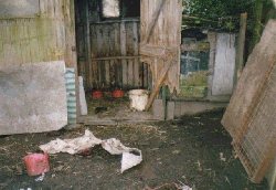 The shed where Shep lived