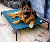 Coolaroo Raised Dog Bed