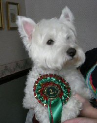 Mac with his winning rosette