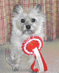 Milly with her 1st Class Rosette in March 2013