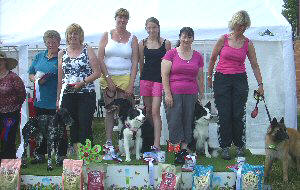 Skinner's Seven Heat 5 winners