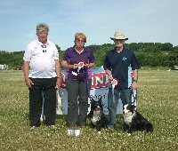 Skinner's Seven Heat 6 winners