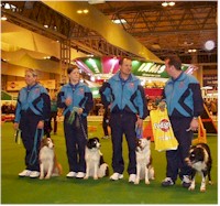 Crufts 2002 - Semi Finalists Dundee