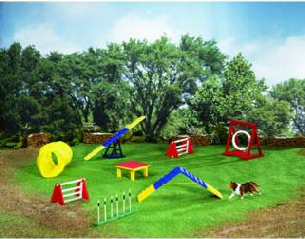 Breyers miniature dog agility set includes many of the obstacles seen at trials. This authentically detailed set includes an open tunnel, 2 jumps, a tyre jump, a teeter, an A-frame, pause table, and weave poles. The set also includes the Shetland Sheepdog sculpture. Made of colorfully-painted wood and scaled for dogs in Breyers Companion Animals series.
