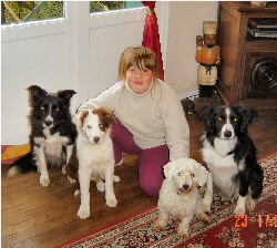 Sam & the dogs