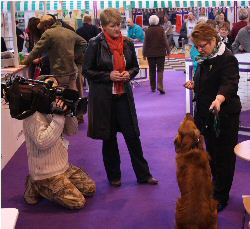 Angela being interviewed by Claire Balding at Crufts 2011