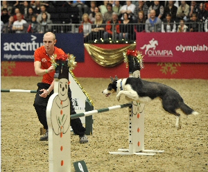 Olympia hot sale dog agility