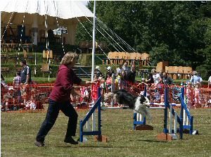 You can see Tynwald Hill behind the agility demo.  Tynwald Day is our national day and usually falls on 5th July, it is held at Tynwald Hill in St Johns and celebrates the Isle of Man’s unique parliamentary democracy and national pride with a compelling mix of tradition, entertainment and attractions.