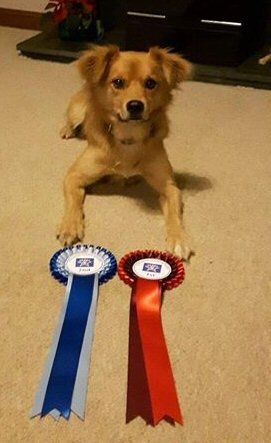 Chip with his rosettes
