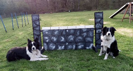 Di’s collies, Eric (left) and Fluke with the  newly built stone wall