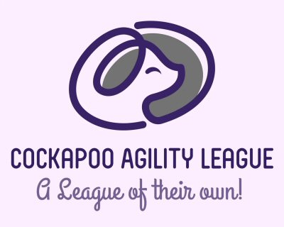 Cockapoo agility best sale