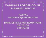 Please help us to help the dogs and horses in our care
