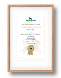 Framed Cert
