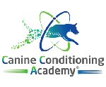 Bridging the gap in canine therapy & training